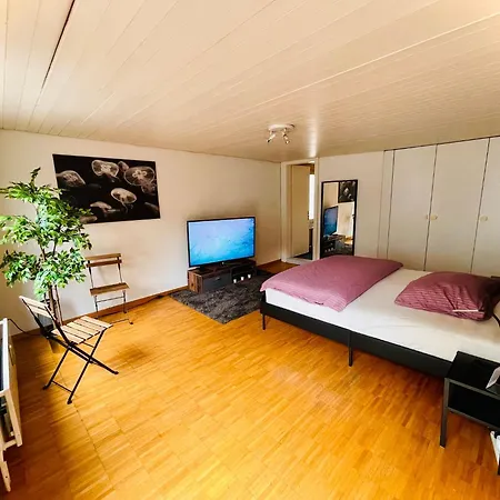 Newly Furnished Beautiful Old Building In The Center With Apple Tv O1 Apartment St. Gallen