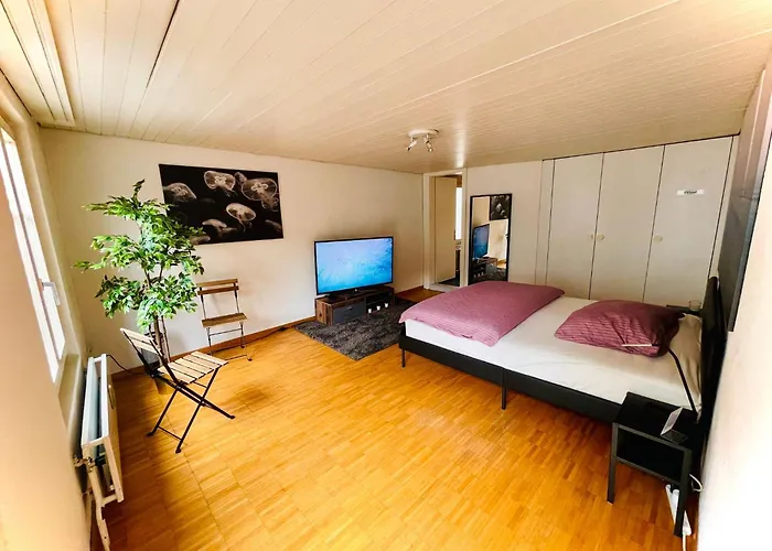 Newly Furnished Beautiful Old Building In The Center With Apple Tv O1 Apartament St. Gallen