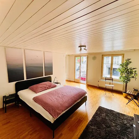Newly Furnished Beautiful Old Building In The Center With Apple Tv O1 * St. Gallen